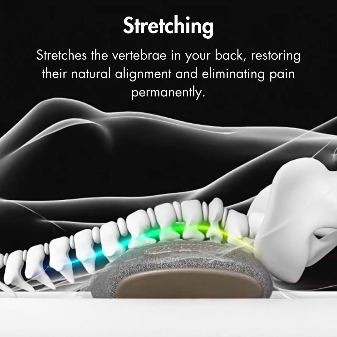 Spine Support Bundle